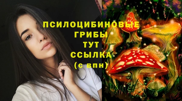 COCAINE Ладушкин
